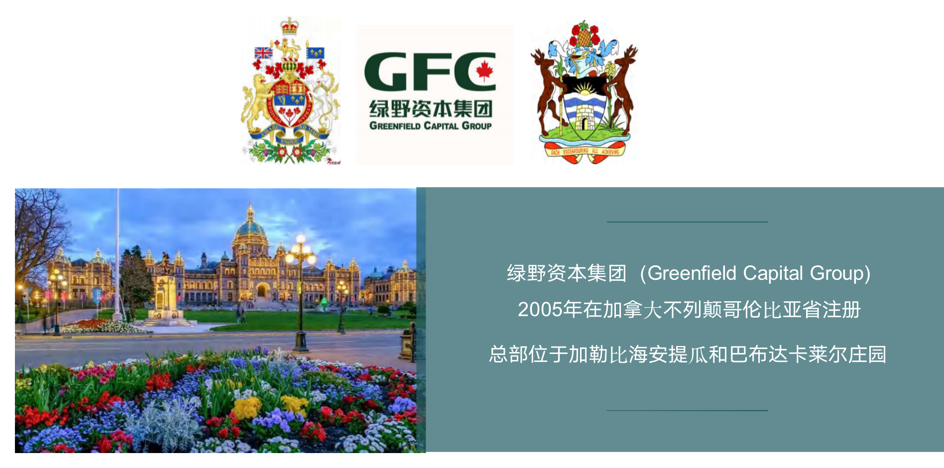 集团业务概览