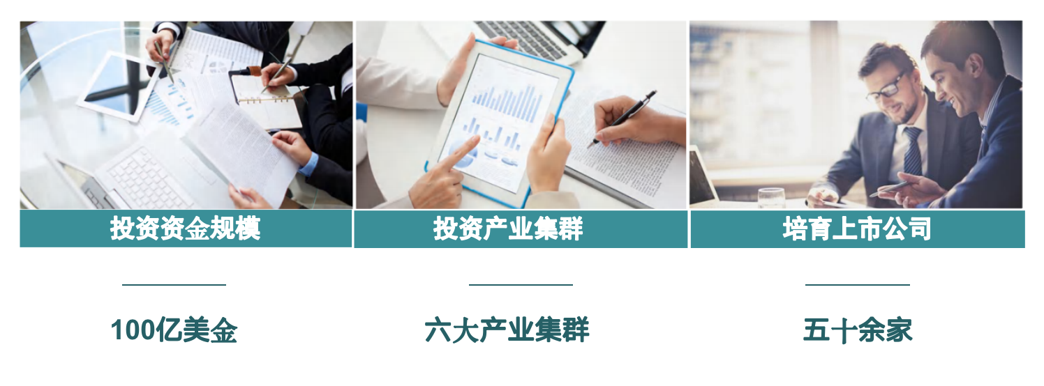 集团产业布局